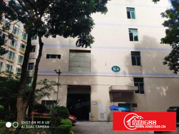 石岩园岭大道出租一楼750平厂房