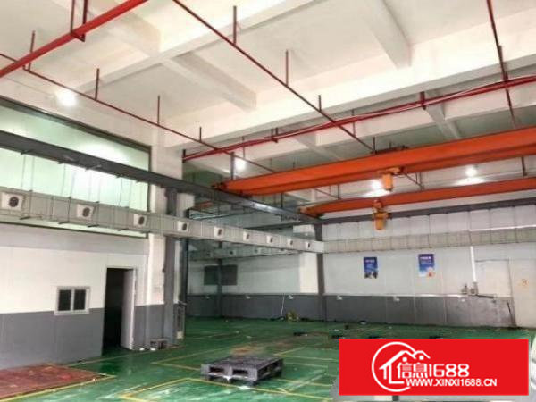 清溪青皇村1楼600平带办公室，原房东，可