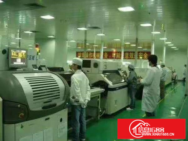 出租79800平线路板厂房（可分租）现成牌照