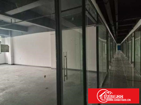 坪山坑梓新出超亮盘源