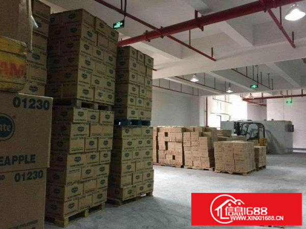 丹竹头300平电商，仓库，组专，过消防/带卸货台