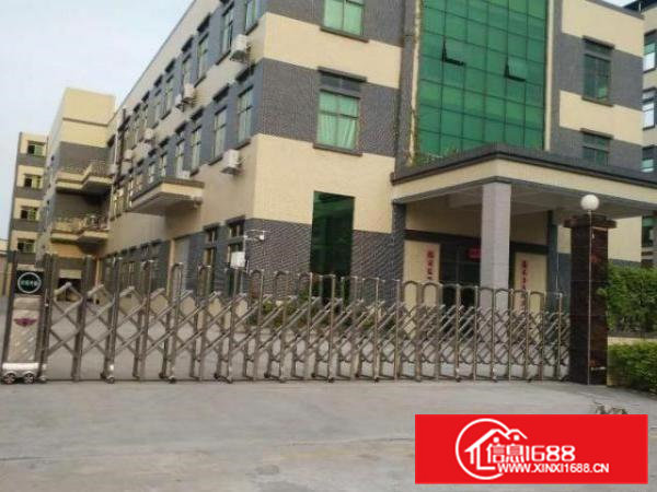 独院厂房，带精装办公室，水电齐全，一楼6米高