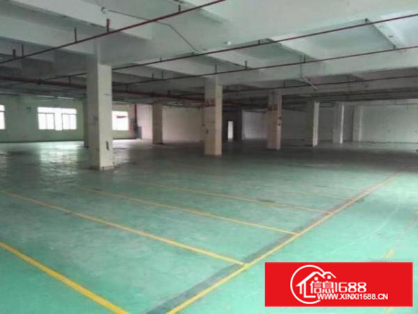 石排黄家壆村厂房一楼700平方，楼上1500平方