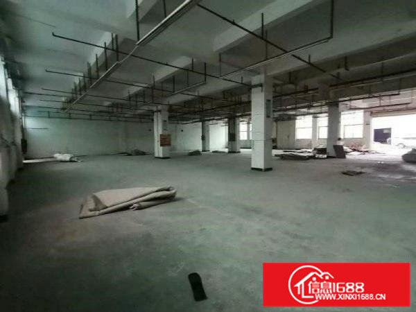 大岭山厚大路附近新出一楼1100平厂房出租形象好交通便利