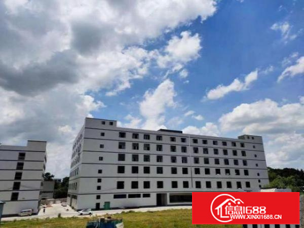 佛山罗村佛山西站高标准厂房4万平方招租（可做织厂），可分租