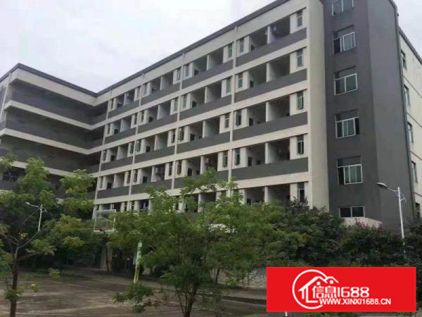 三栋数码园1楼标准工业园厂房1000平米出租