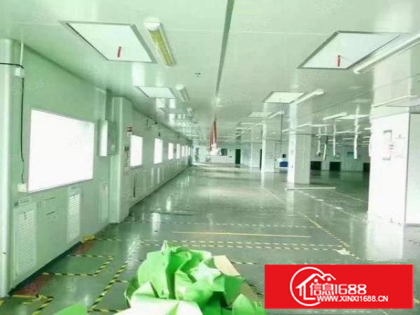 长安沙头新出楼上无尘洁净车间1500平