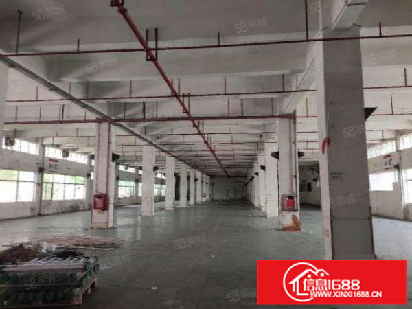 深圳宝龙工业区原房东1楼2楼各1980平米厂房出租，可以分租