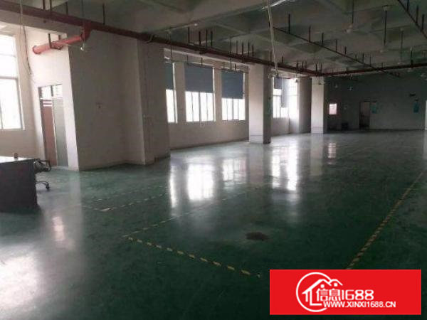 常平火车站附近豪华装修800平米以上厂房出租精装修