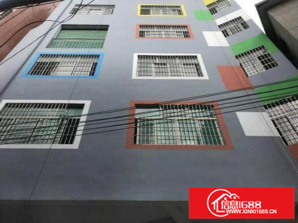 宝安石岩新出教育培训楼盘2栋出租