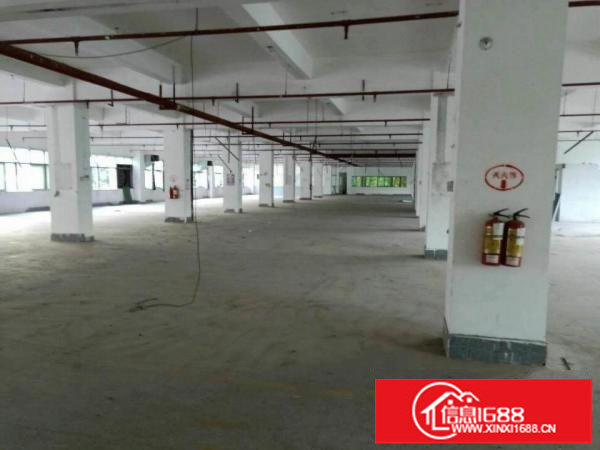 长圳新出带卸货平台楼上整层厂房2600平米带精装修