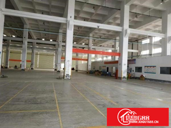 坪山区坑梓坪山大道边钢结构1000平方，15米高