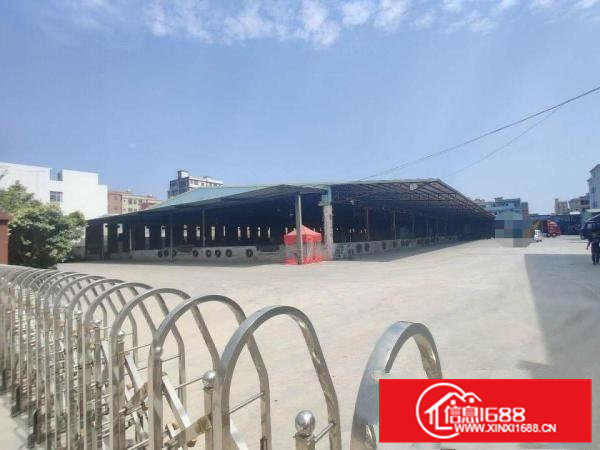 大岭山镇向东村107国道500米独门独院单一层13580平方