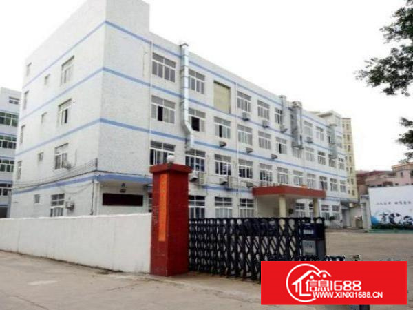 实用率高！松岗石泉新出原房东独院800平方厂房无杂费