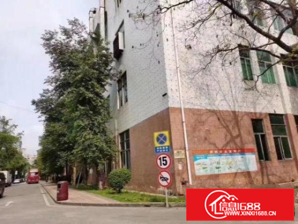 光明红本独院加独栋实际面积厂房