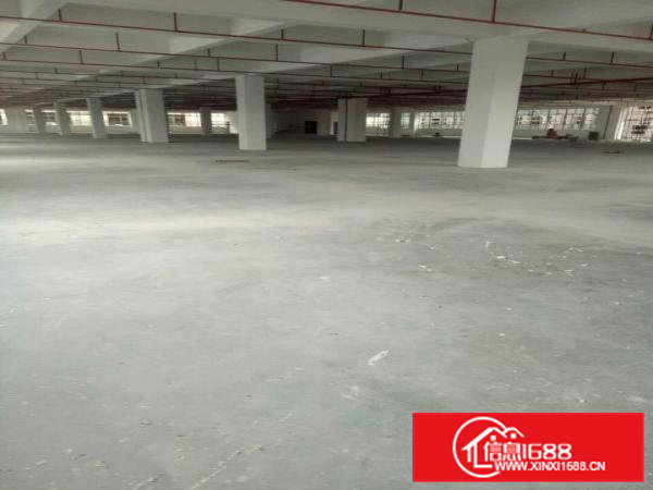 桥头桥头华夏分租标准厂房500平米