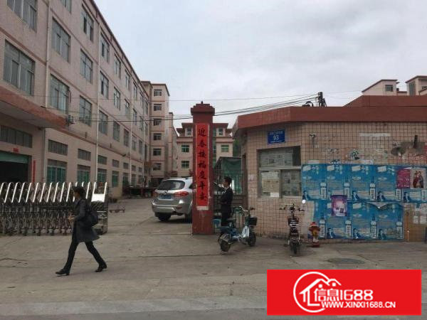 龙岗宝龙新出独院厂房12500平方火爆招租