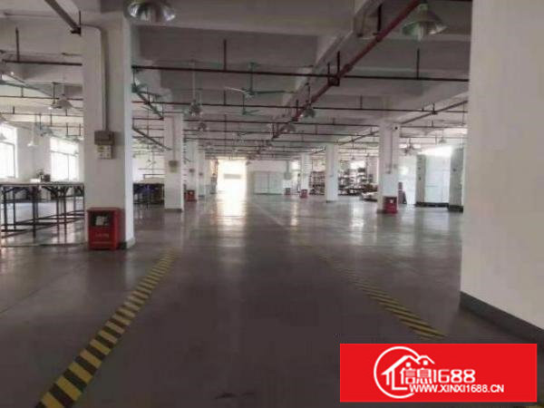 公明公常路一楼厂房800平高6米出租，可办环评