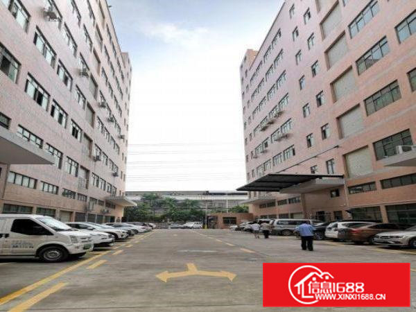 出租横沥镇东兴工业区