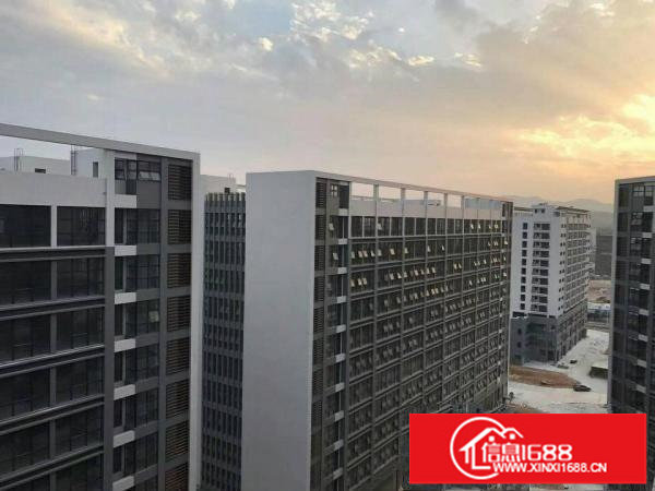 研发科技坪山全新红本厂房出租可做医疗交通环境好可分租