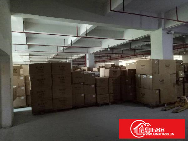 五联全新一二楼各3900平米厂房出租带喷淋可分租