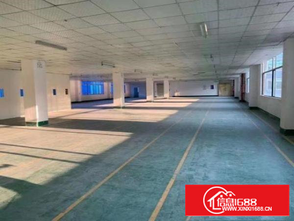 沙井107国道18元带装修厂房招租环境优美停车位充足