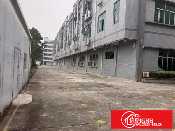 大岭山原房东独门独院精装修厂房8000平米