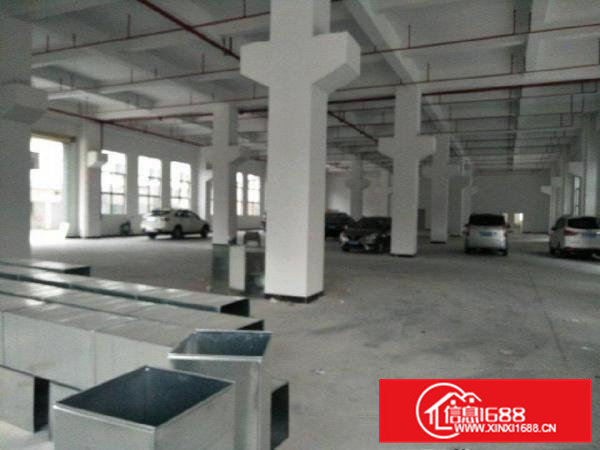 桥头一楼厂房厂房2300平米