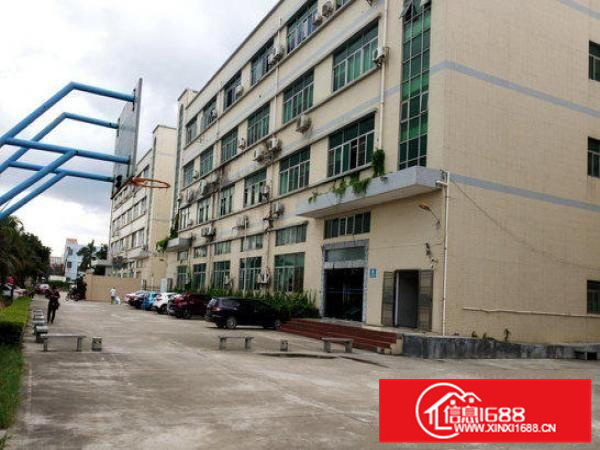 出租惠阳新墟一楼1200平方整层厂房