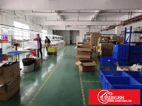 龙岗大道旁新出楼上670平精装修出租