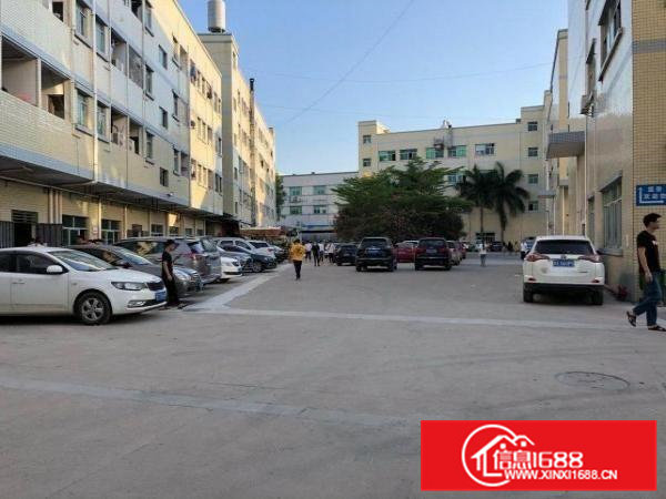 清溪中心位置新空出一楼650平方厂房，层高6米，水电齐全