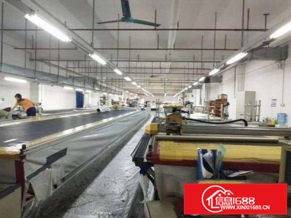 大岭山3900平独院独栋高大上工业园分租厂房