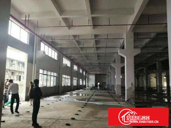 交通便利！博罗福田标准一楼1183平米出租可分租