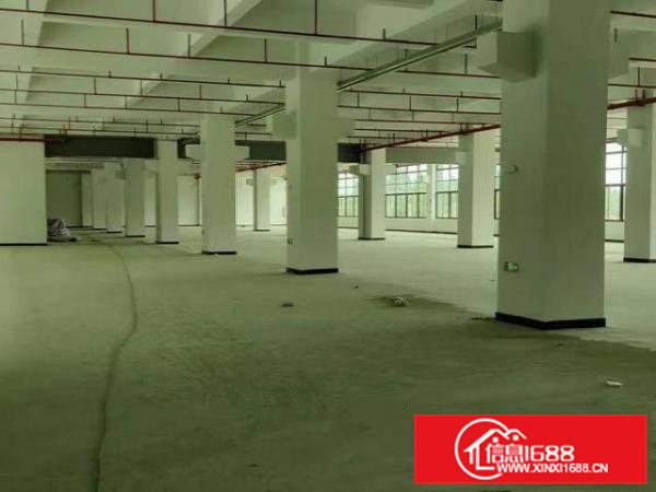 横沥新出厂房高度6米水电齐全带消防喷淋带牛角