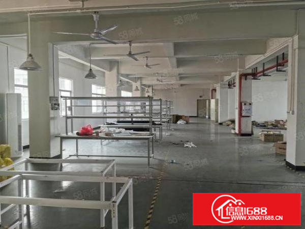 企石镇豪华装修厂房一整层低价出租工业用地可办环评