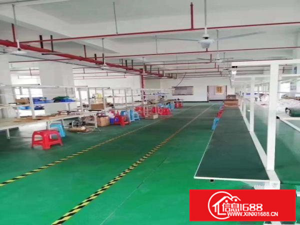 清溪三中村原房东新出2楼550平带装修厂房急租