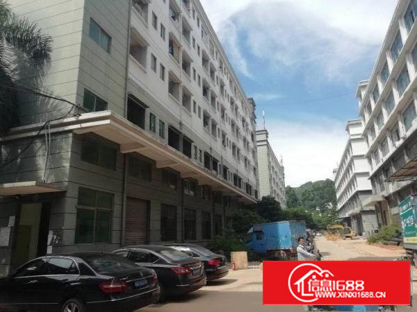 西乡黄田靠近福永兴围，三梯厂房两栋宿舍可以分层租