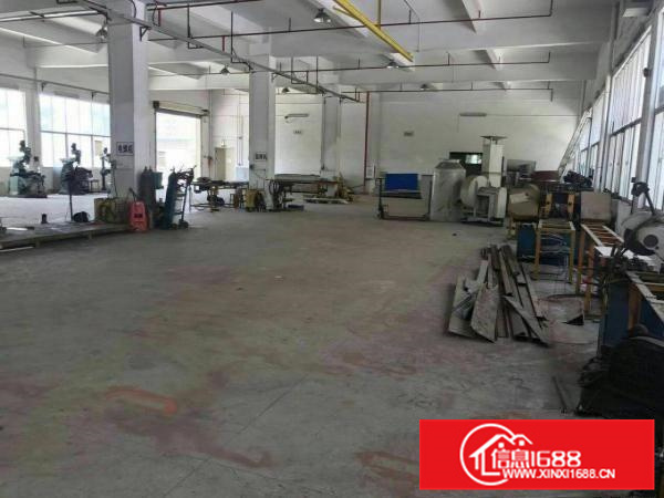 新圩约场新出原房东一楼整层面积1100平低价出租