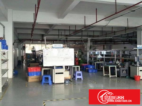 红本精装无转让费5楼1300平！！