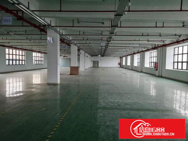 凤岗五联楼精装修厂房出租2500平电子电商手袋皮具加工