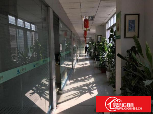 坪山新区坑梓一二楼3000平米带装修厂房可分租