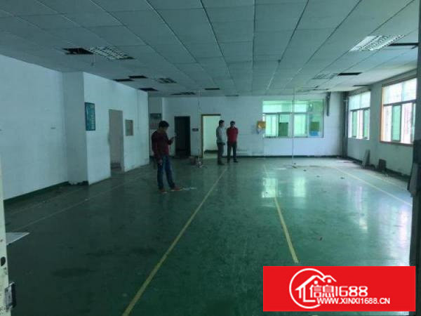 坪山一坑梓坪山大道旁新出经典小独院2400平出租