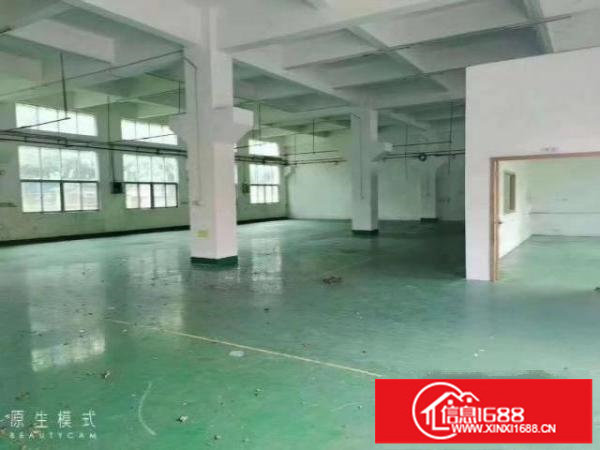 松岗燕川原房东独门独院厂房出租