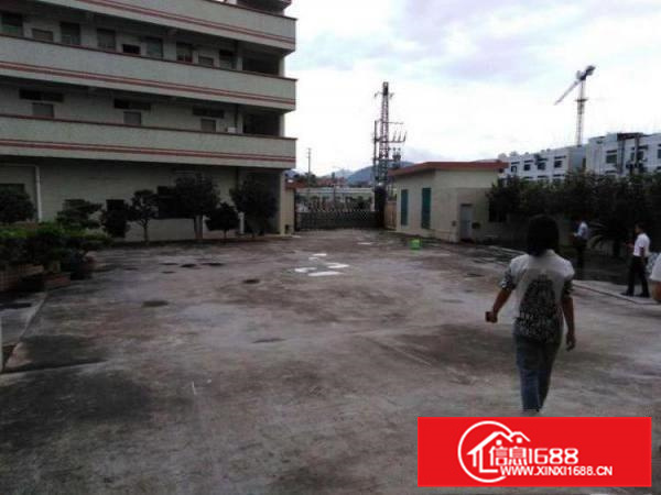 博罗单一层精装修办公室5000平标准厂房一楼带宿舍楼可分租