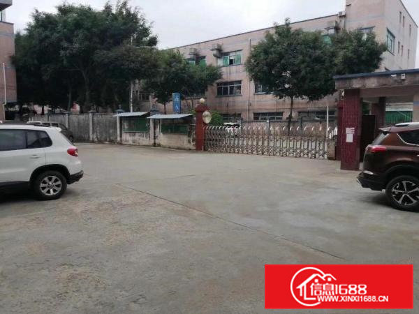 一楼厂房招租，石排镇标准厂房出租一楼1000平方