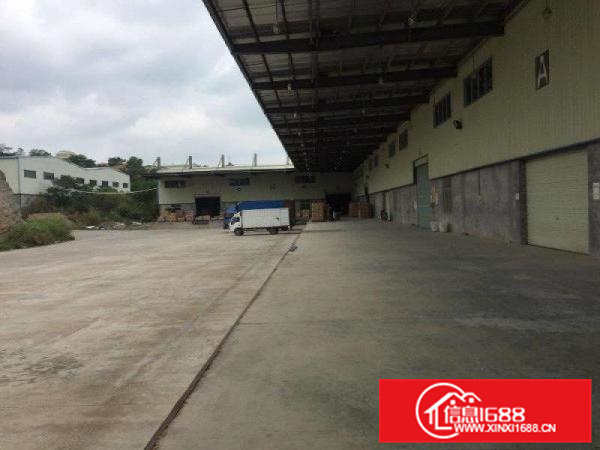 金泽物流附近独门独院全新钢构1200平米出租