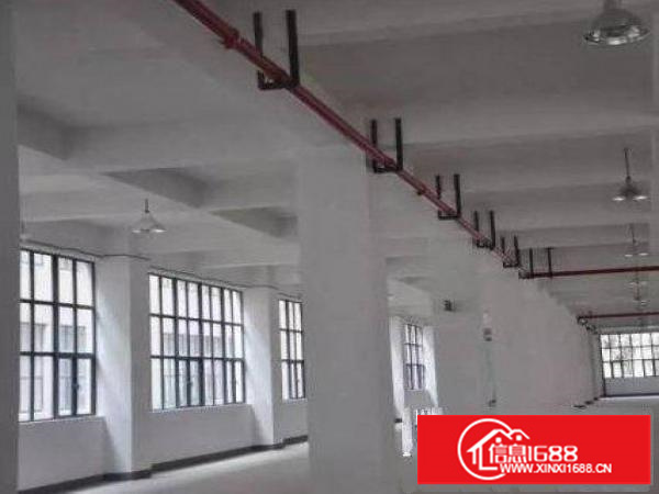 平湖鹅公岭附近先有独栋二楼三楼各1000平方厂房出租，可分租