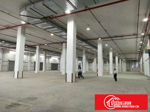 仲恺高新区标准产业园100000平方原房东出租