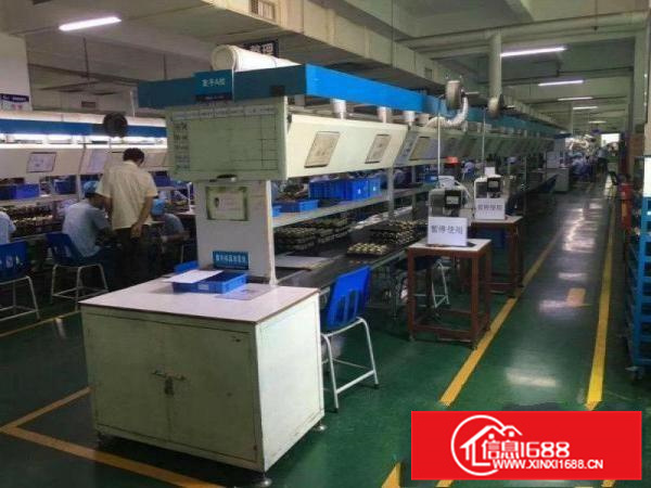 惠阳新圩独院标准厂房分租6001000平形象好