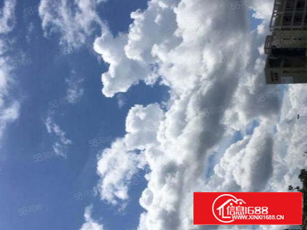 独门独栋450精装修租金便宜